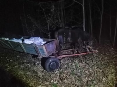 Украинцы пытались контрабандой вывезти в Белоруссию почти тонну сала