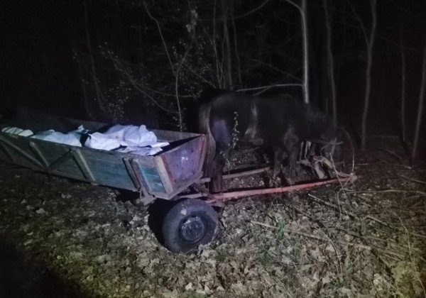 Украинцы пытались контрабандой вывезти в Белоруссию почти тонну сала