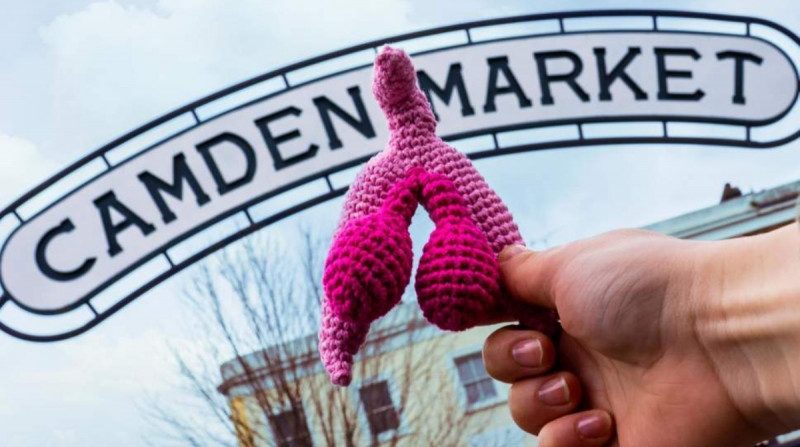 "Все накроется ею": В Лондоне откроют музей, посвященный вагине