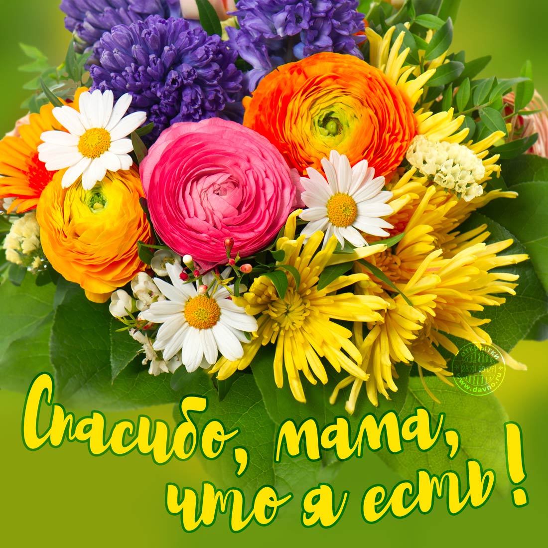 День матери – картинки