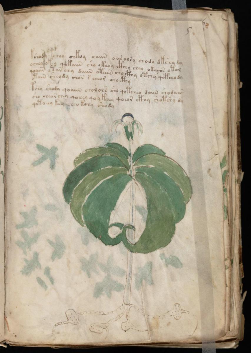 Манусрикпт Войнича Манусрикпт Войнича