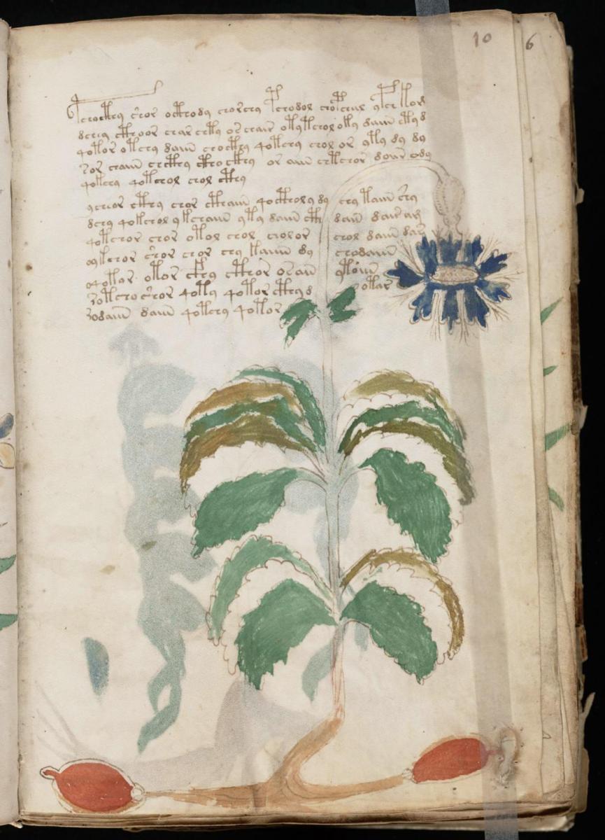 Манусрикпт Войнича Манусрикпт Войнича