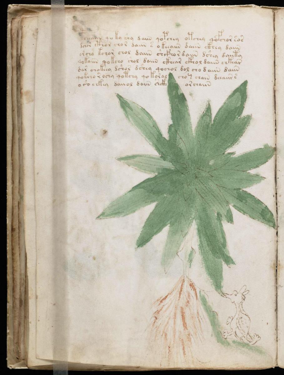 Манусрикпт Войнича Манусрикпт Войнича