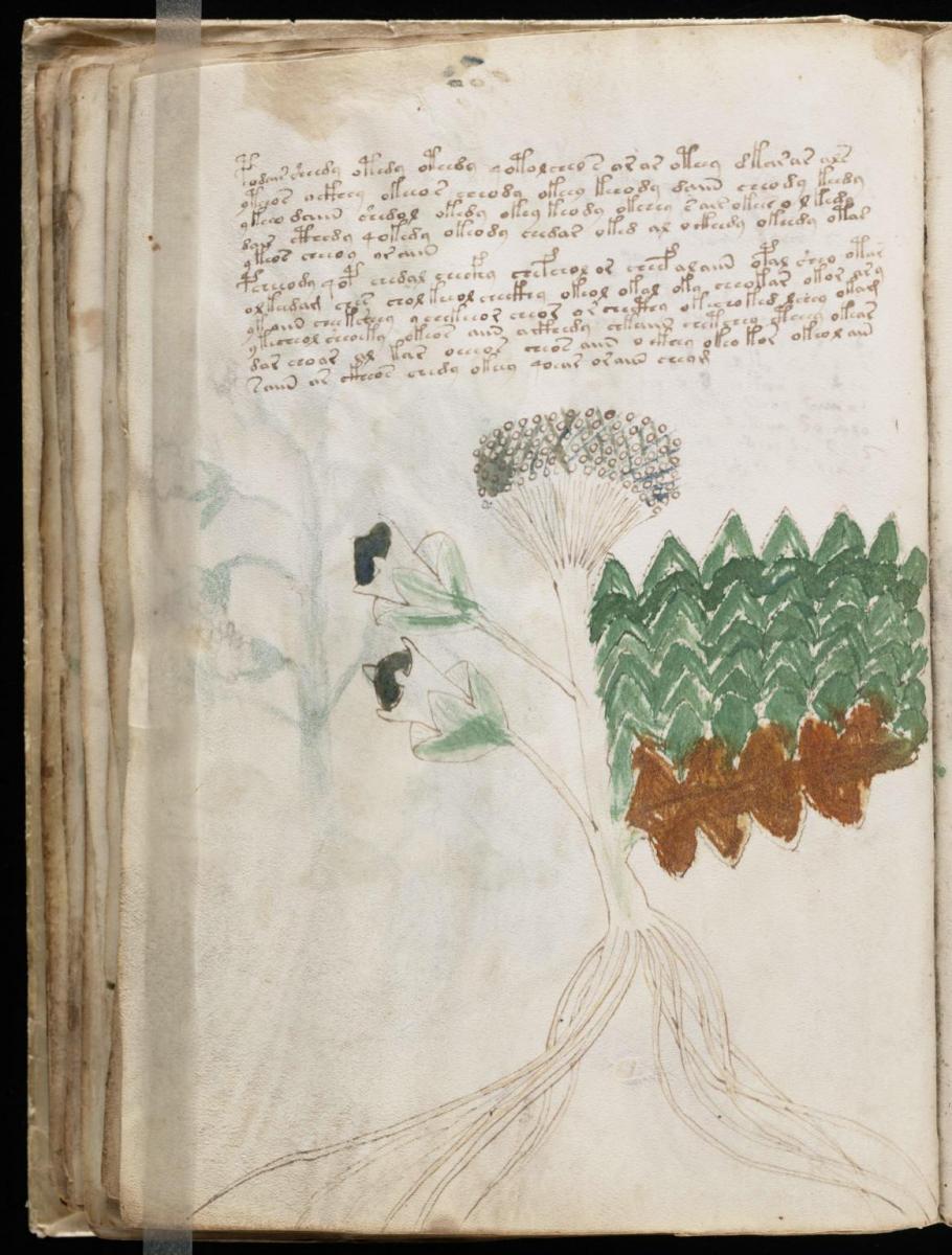 Манусрикпт Войнича Манусрикпт Войнича