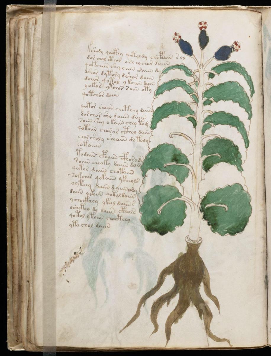 Манусрикпт Войнича Манусрикпт Войнича