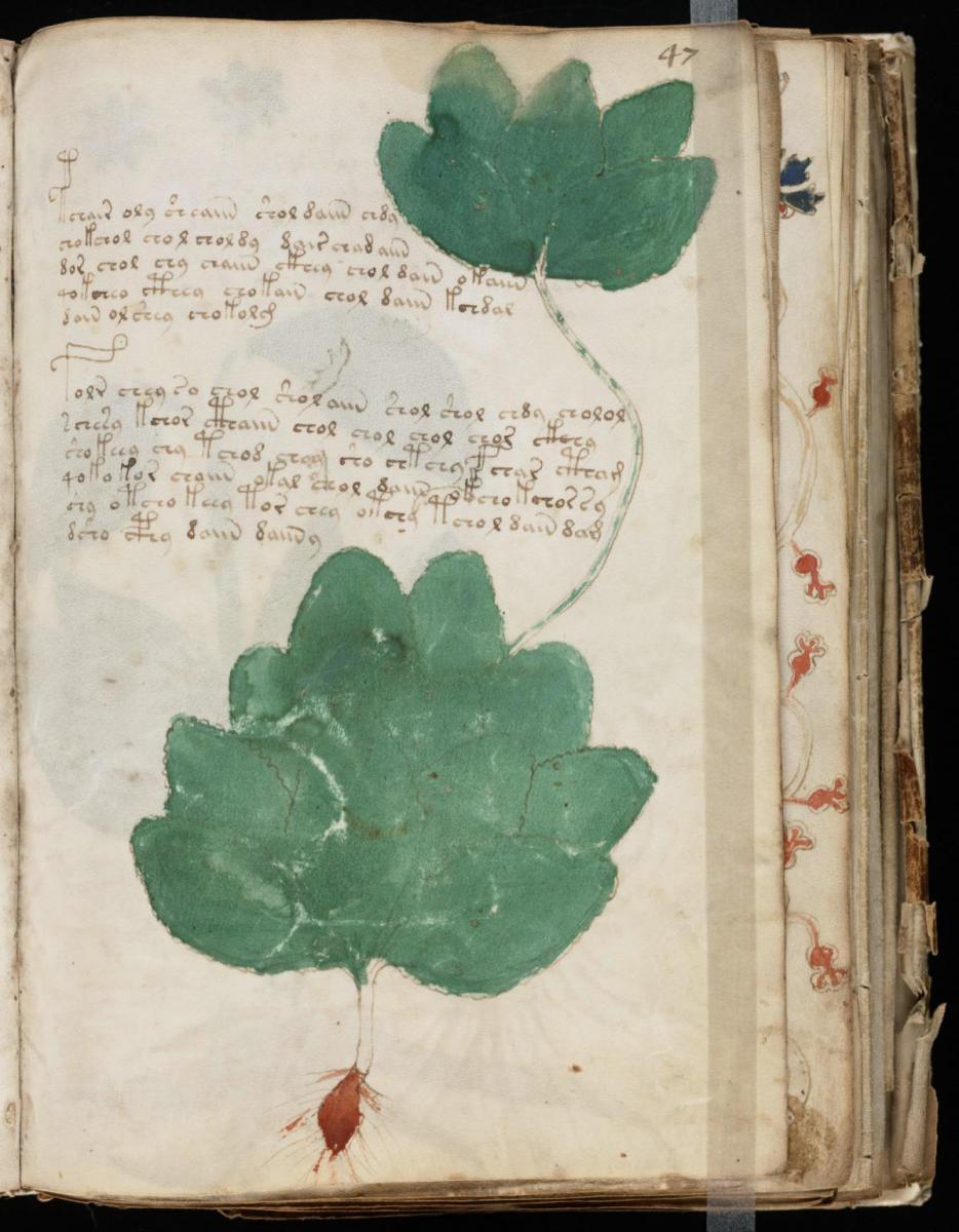 Манусрикпт Войнича Манусрикпт Войнича