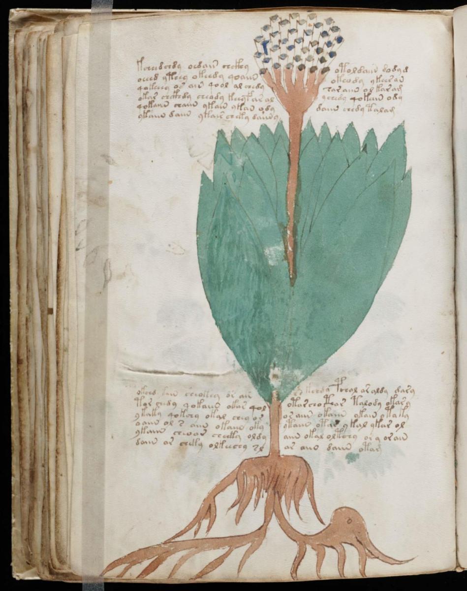 Манусрикпт Войнича Манусрикпт Войнича