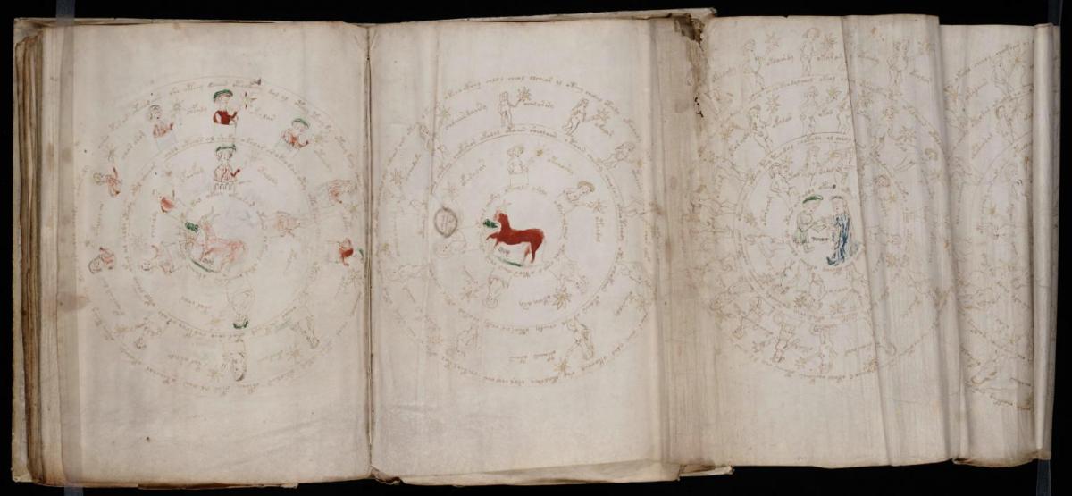 Манусрикпт Войнича Манусрикпт Войнича