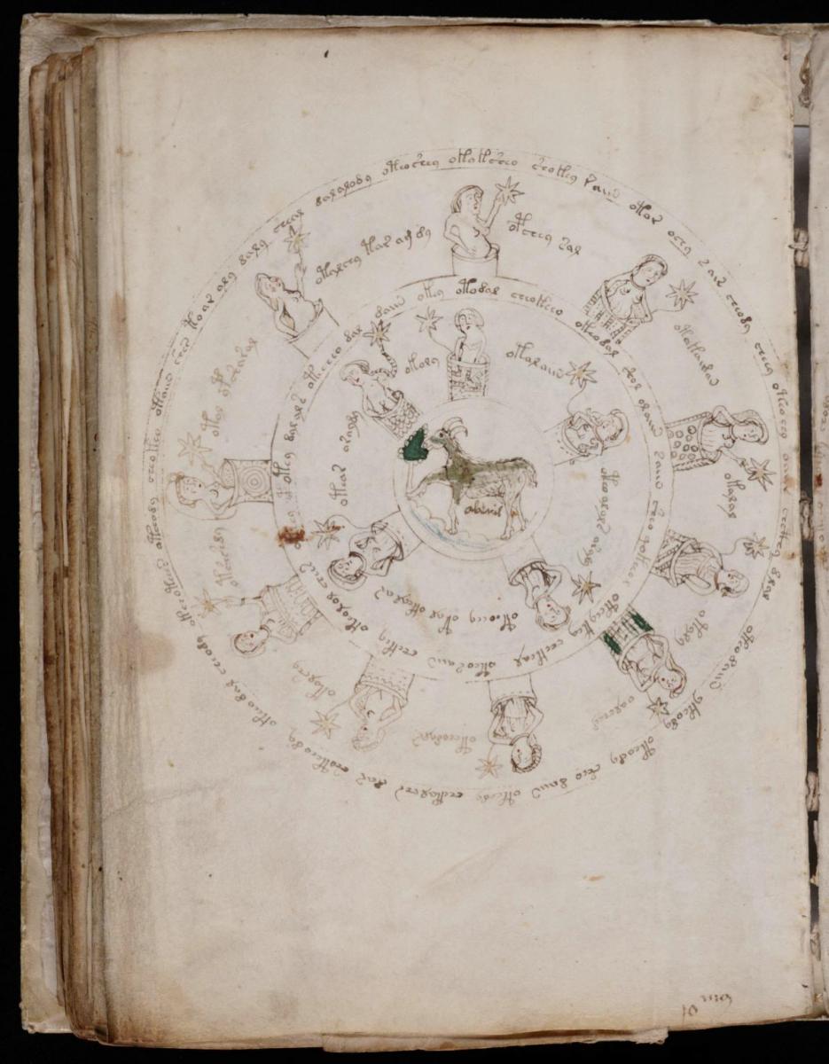 Манусрикпт Войнича Манусрикпт Войнича