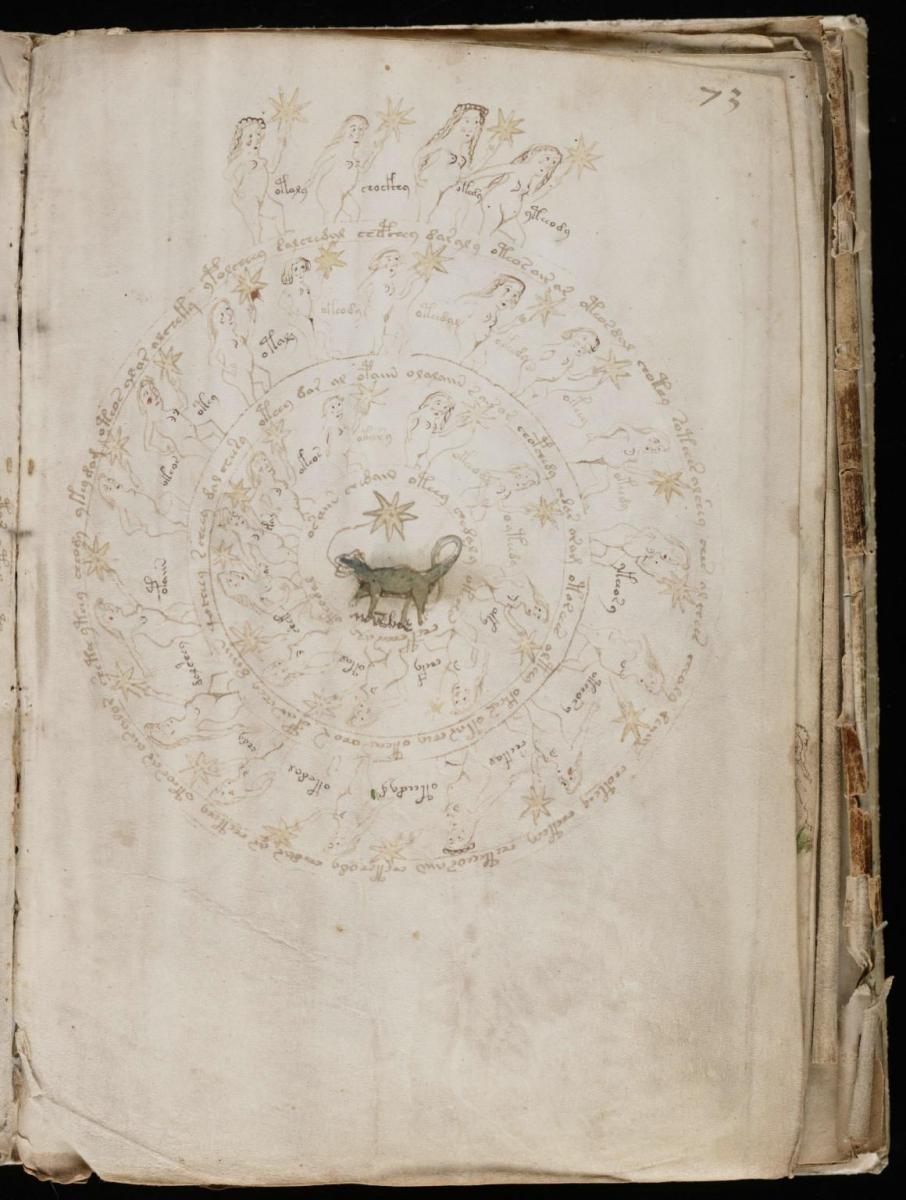 Манусрикпт Войнича Манусрикпт Войнича