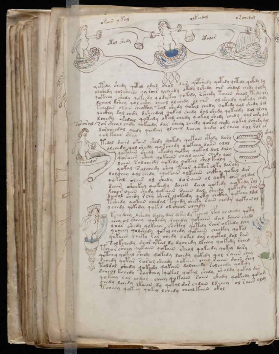 Манусрикпт Войнича Манусрикпт Войнича