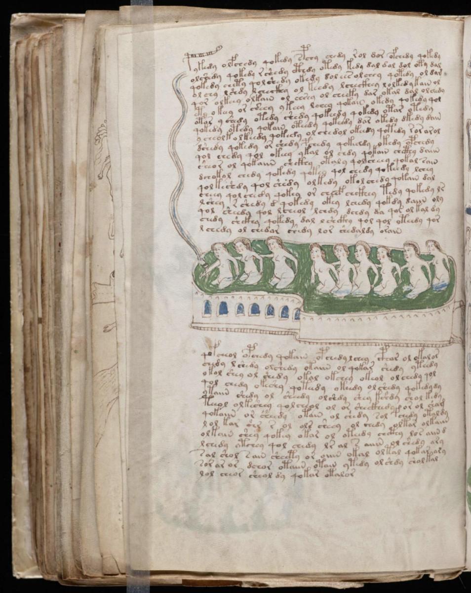 Манусрикпт Войнича Манусрикпт Войнича