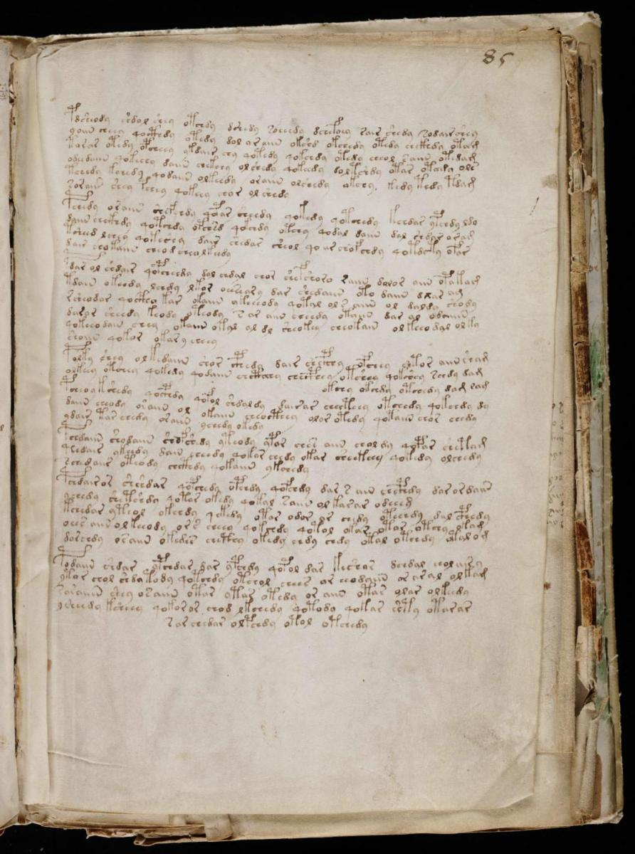 Манусрикпт Войнича Манусрикпт Войнича