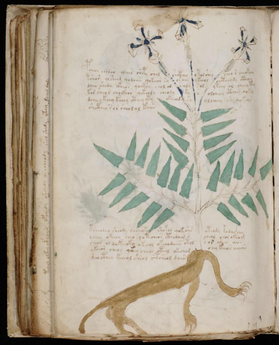 Манусрикпт Войнича Манусрикпт Войнича