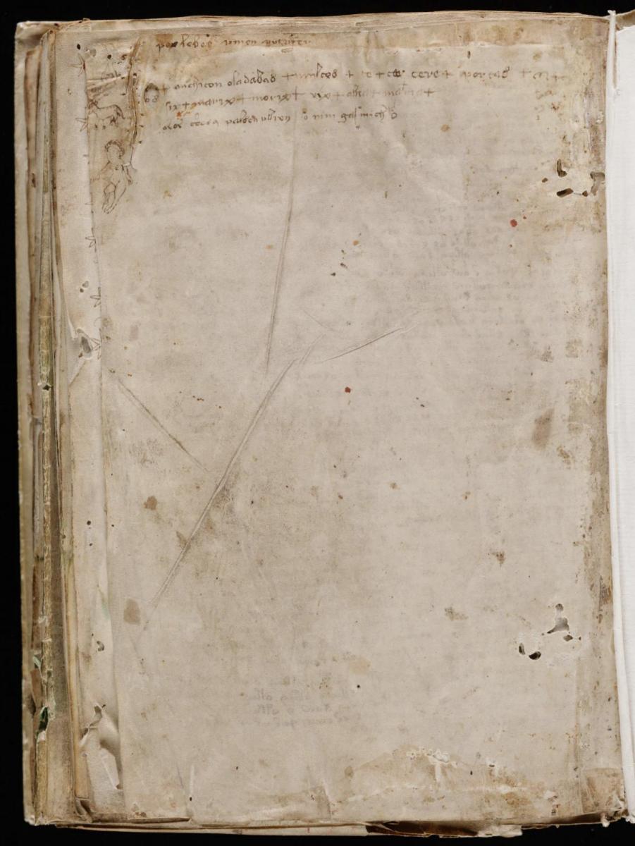 Манусрикпт Войнича Манусрикпт Войнича