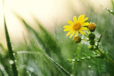 дождь - погода в Украине дождь - погода в Украине