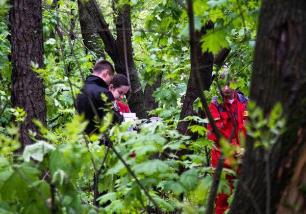 В парке Киева нашли повешенным парня, опубликованы фото и видео 18+