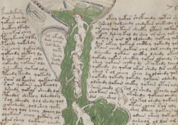 Ученый расшифровал манускрипт Войновича