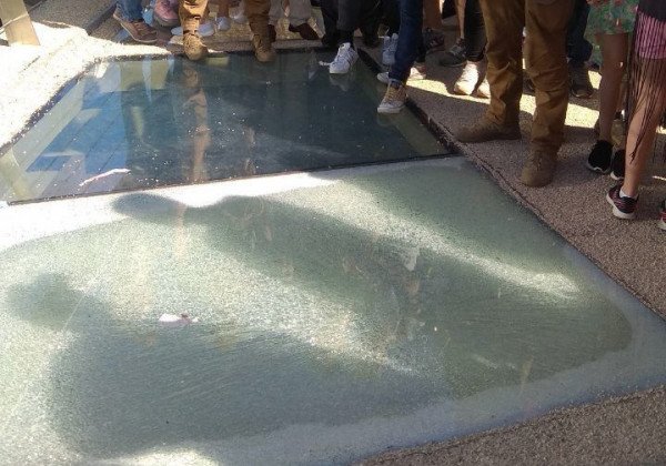 В Киеве треснул помпезно открытый Кличко новый пешеходно-велосипедный мост