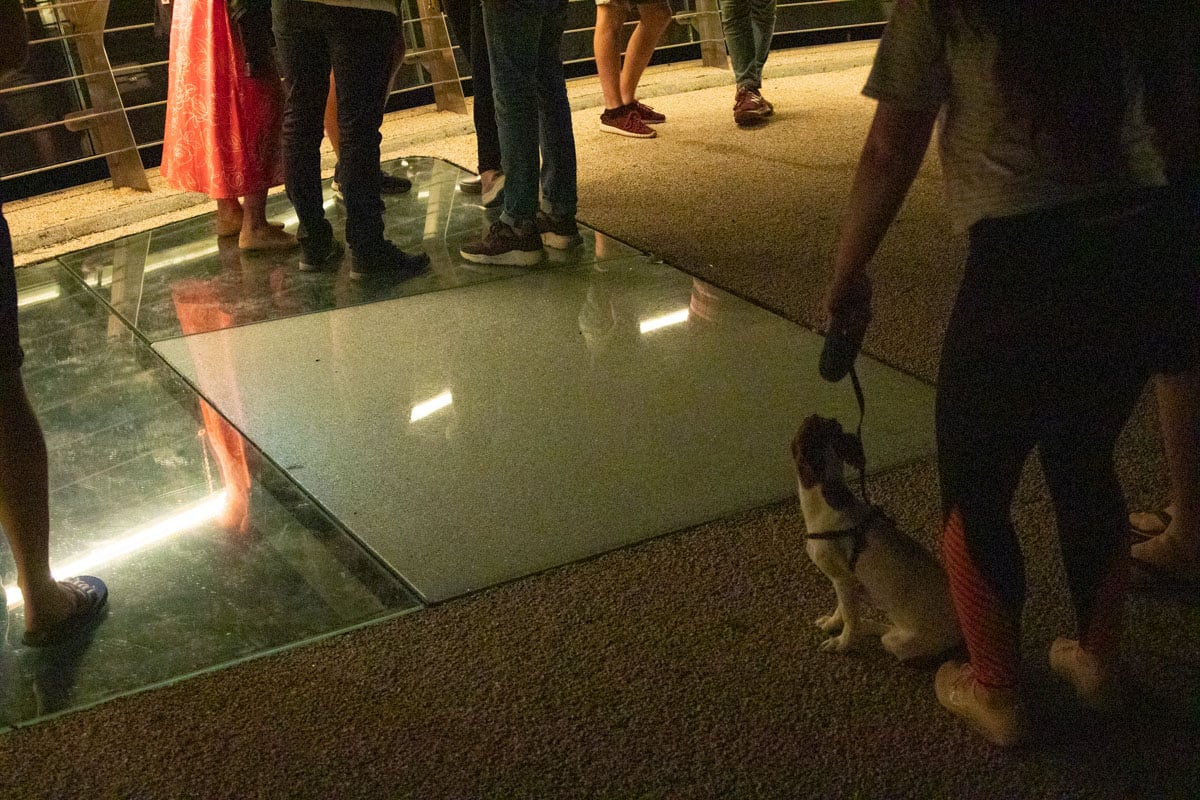 На скандальном мосту в Киеве треснуло еще одно стекло