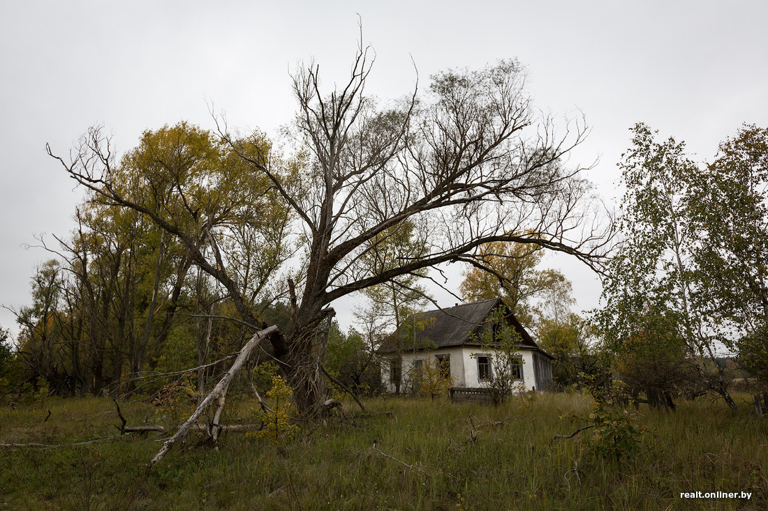 Зона отчуждения в Беларуси Зона отчуждения в Беларуси