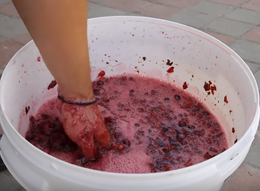 Готовое вино из вишни нужно настаивать минимум месяц