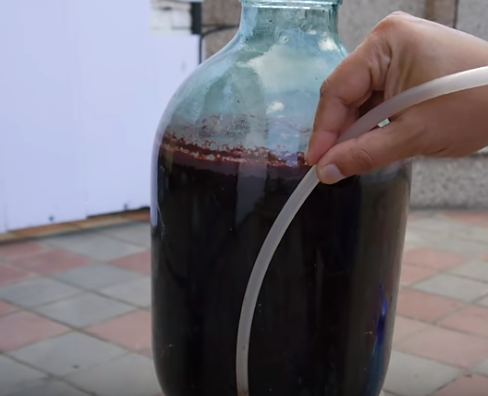 Готовое вино из вишни нужно настаивать минимум месяц