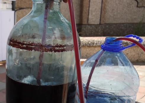 Готовое вино из вишни нужно настаивать минимум месяц