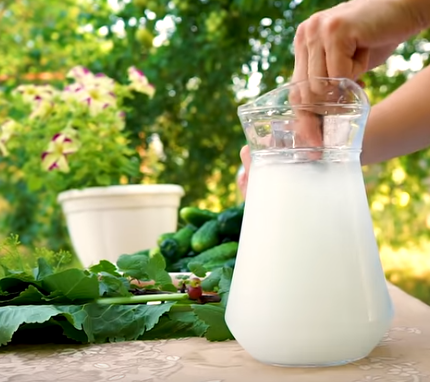 Огурцы малосольные в банке просто готовятся