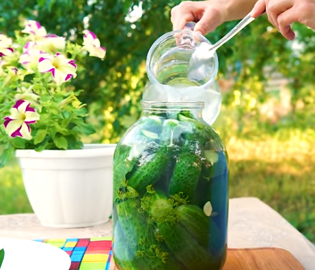 Огурцы малосольные в банке просто готовятся