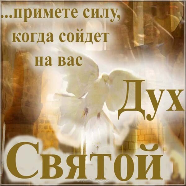 Духов день – картинки