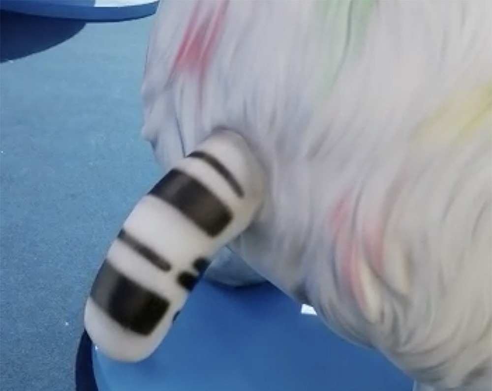 Талисман Команды России