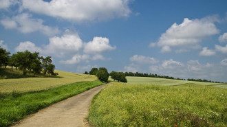 Погода в Украине — В июле-2019 в Украине будет температурная аномалия, спрогнозировали синоптики