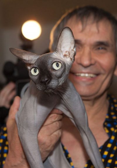 Аферист выдал другого кота за пропавшего любимца Бари Алибасова и забрал 800 тысяч рублей