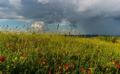 Погода в Украине — В Украине после жары серьезно посвежеет 3 июля, предупредила синоптик Погода в Украине — В Украине после жары серьезно посвежеет 3 июля, предупредила синоптик