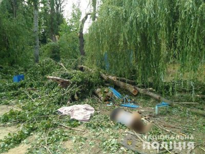 Новости Харьковщины — На Харьковщине возросло число жертв падения дерева на базе отдыха