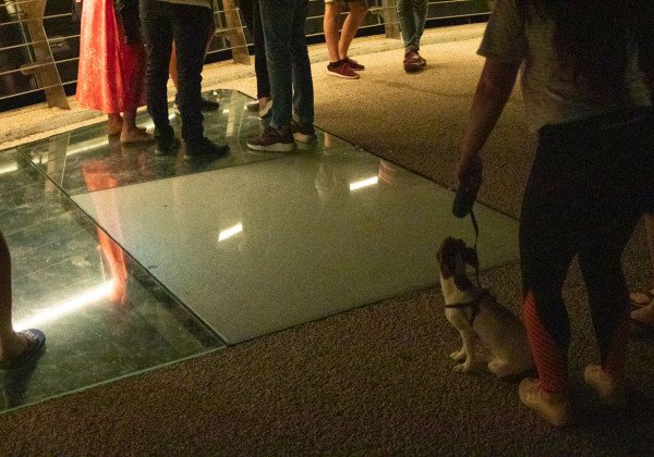 На скандальном "мосту Кличко" в центре Киева треснуло еще одно стекло