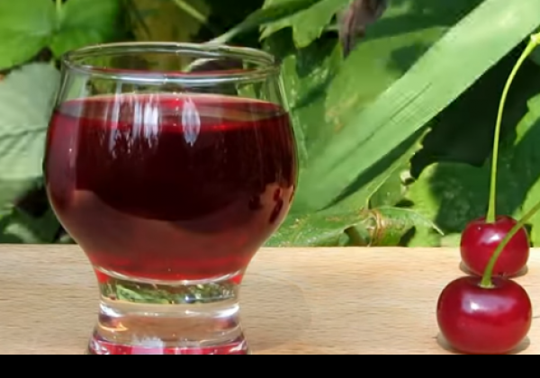Наливка, вино, ликер и настойка из вишни: рецепты вкусного алкоголя