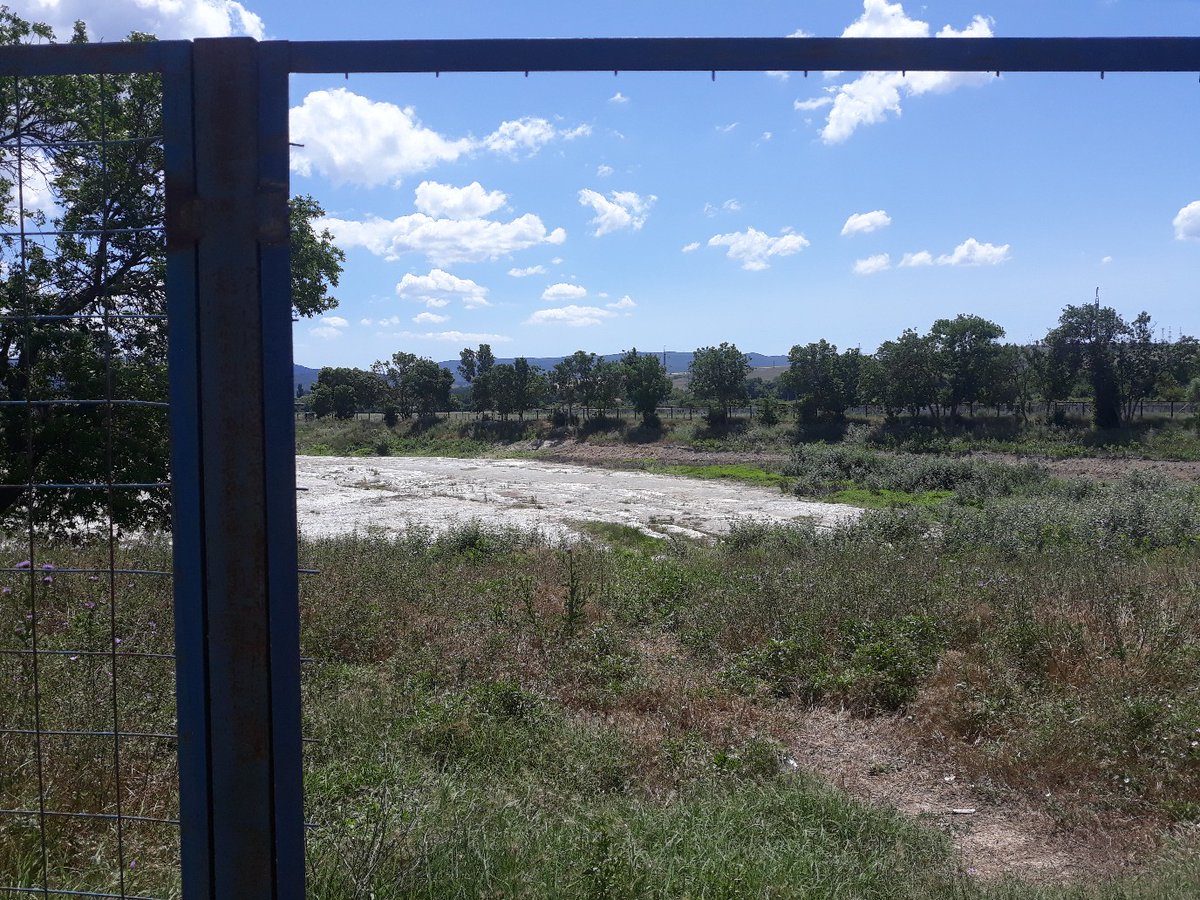 В Севастополе высохло озеро