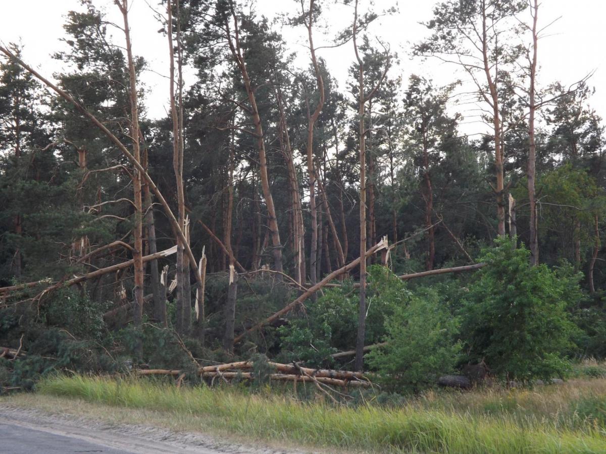 На Западной Украине набедокурил ураган