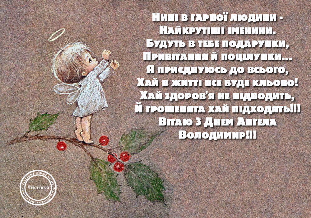 Картинки день ангела владимира