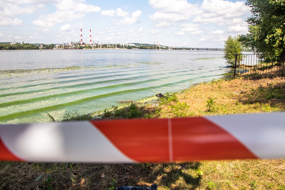 Шольница нашла труп