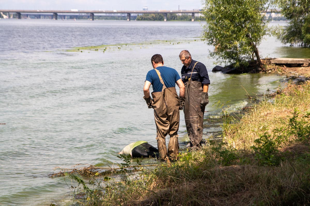 Шольница нашла труп