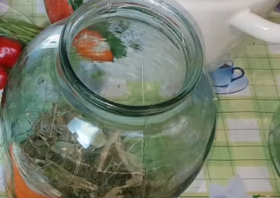 Квашеные помидоры на зиму быстро готовятся