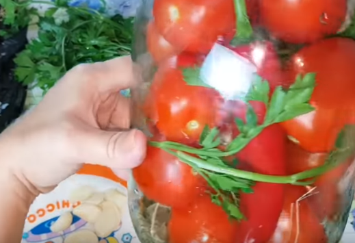 Квашеные помидоры на зиму быстро готовятся