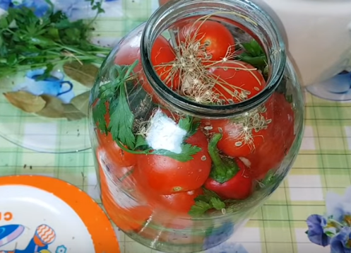 Квашеные помидоры на зиму быстро готовятся