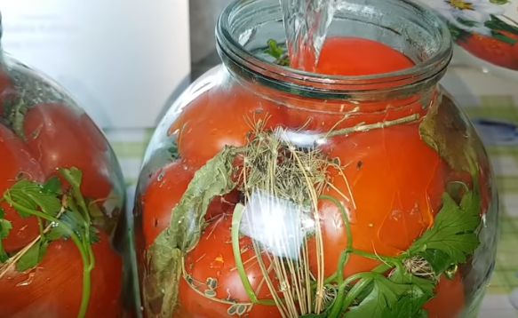 Квашеные помидоры на зиму быстро готовятся