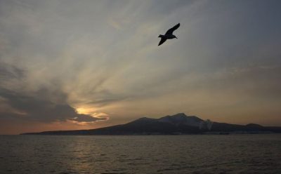 На сайте Большой двадцатки обрезали Россию на Курилы ради Японии