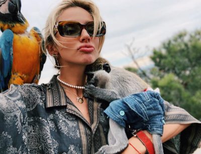 Обворованная Лободой блогерша обратилась к певице