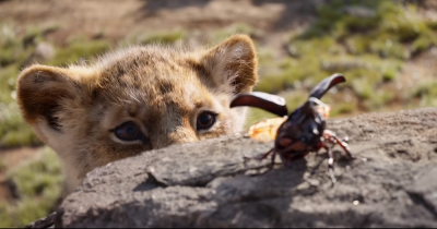 Король Лев 2019